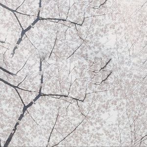 Meet your Posher, Irene